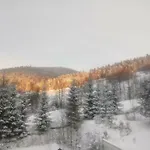 Séjour à la ferme Dom 